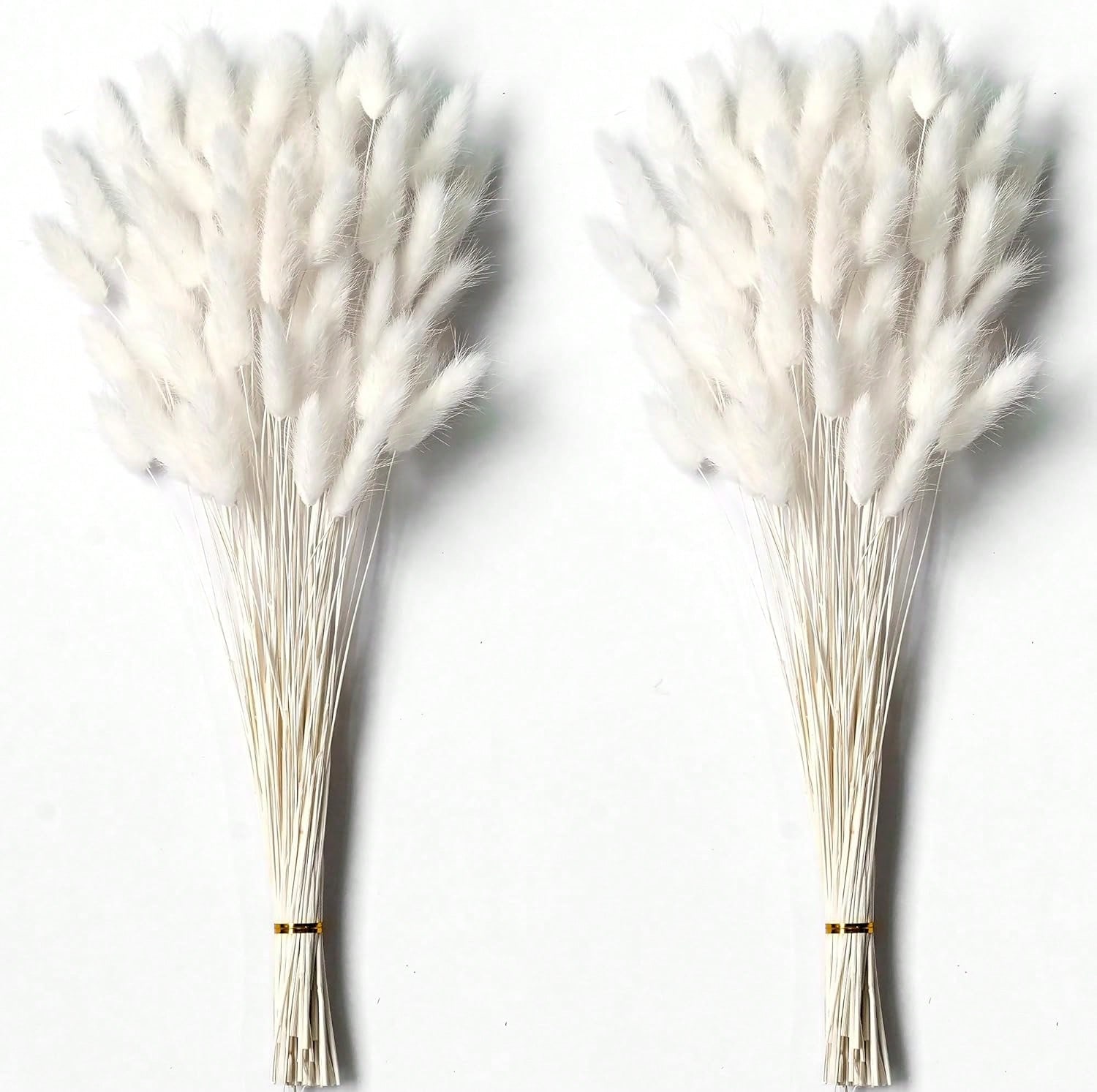 Pampas Grass Decor - 120개 건조 팜파스 그래스 장식용 드라이