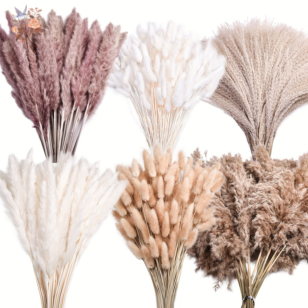 320개의 혼합된 푹신한 대형 팜파스그래스 드라이플라워 - Pampas Grass Decor 리뷰 및 가격