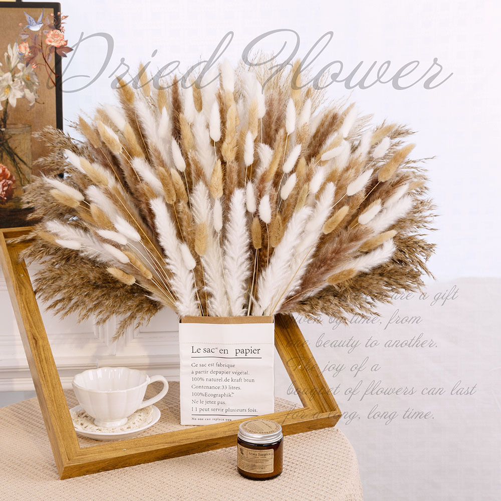 320개의 혼합된 푹신한 대형 팜파스그래스 드라이플라워 - Pampas Grass Decor 리뷰 및 가격
