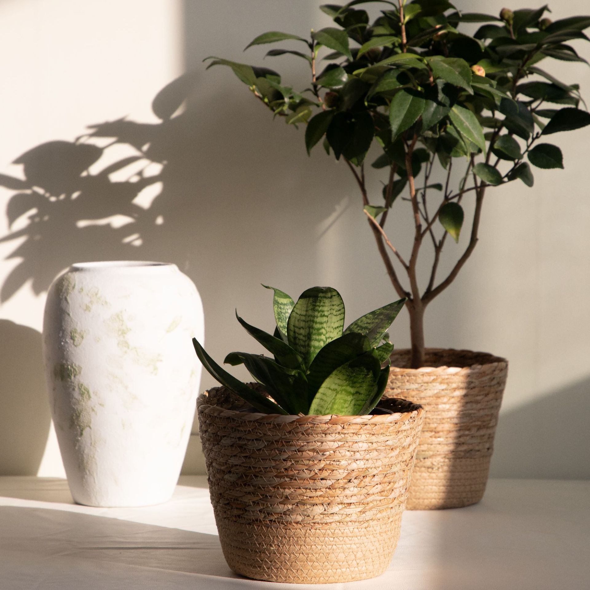 다목적 직조 보관 바구니, 선물용 소박한 장식용 꽃 화 - Rattan Plant Basket 리뷰 및 가격
